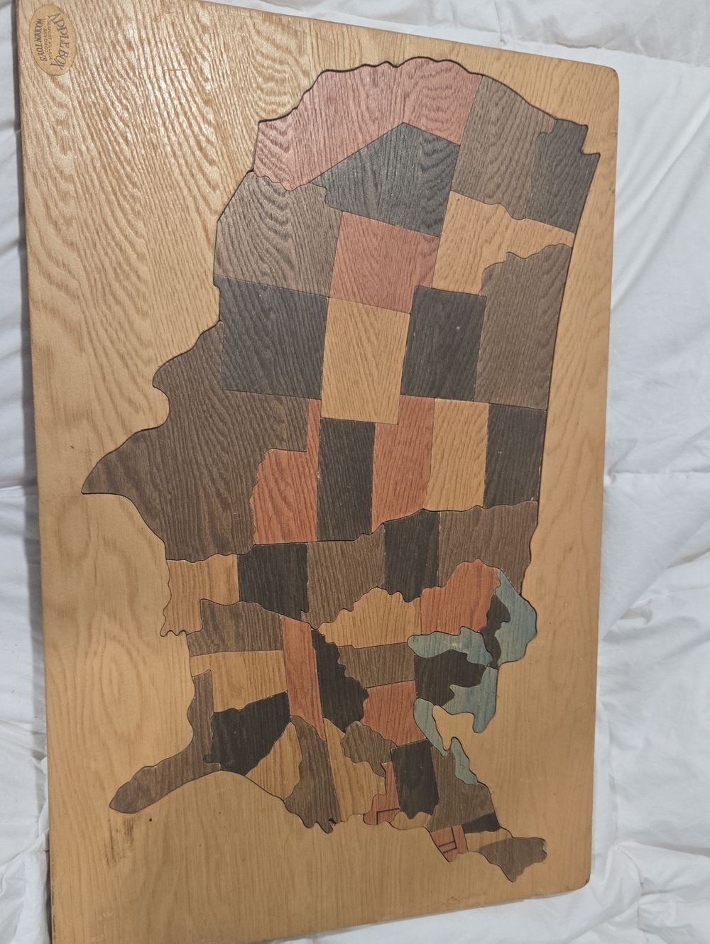 Handcrafted Innlay Wood Map Wall Art - Multicolor Each Piece Has The Capital On